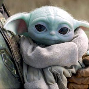 Meet your Posher, Shannon